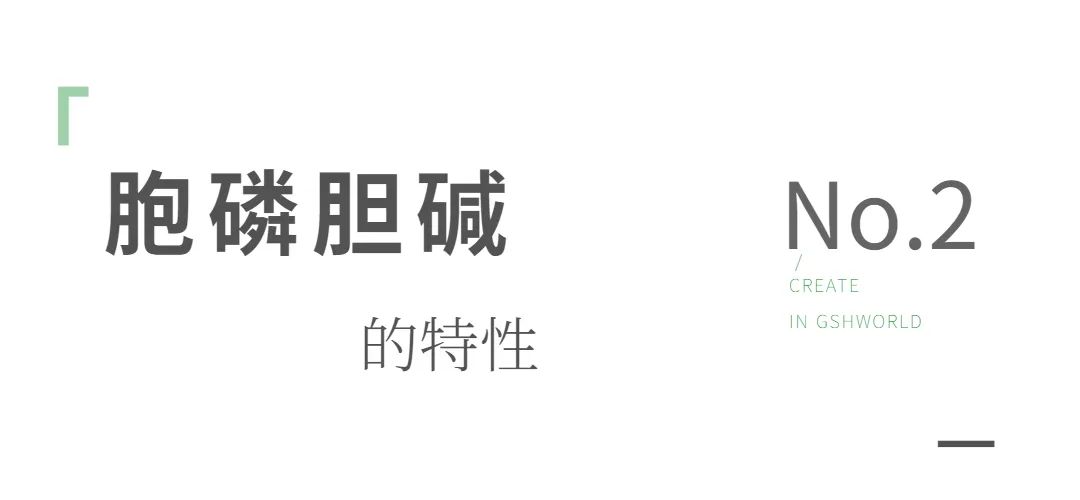 旭彩网