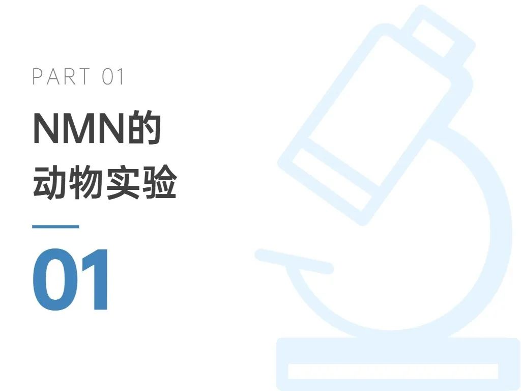 旭彩网