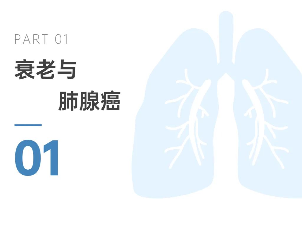 旭彩网