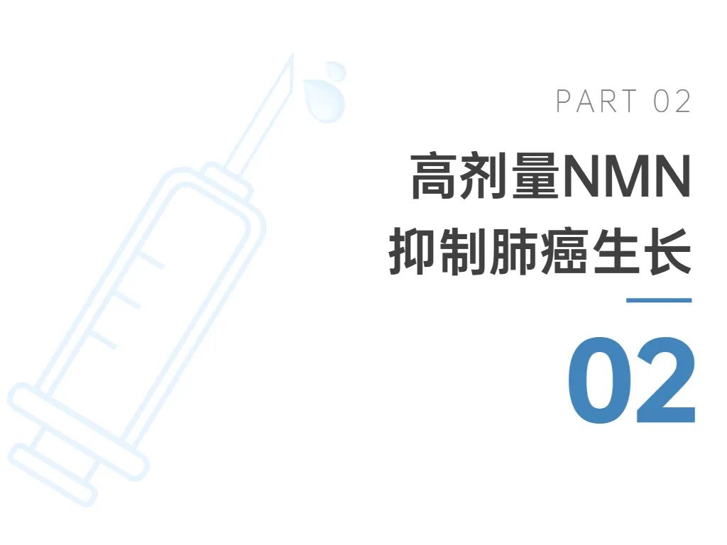 旭彩网