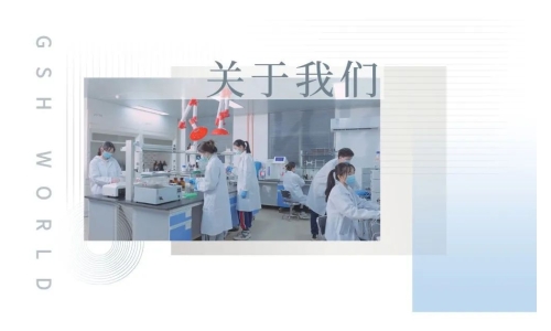 旭彩网科技有限公司招聘